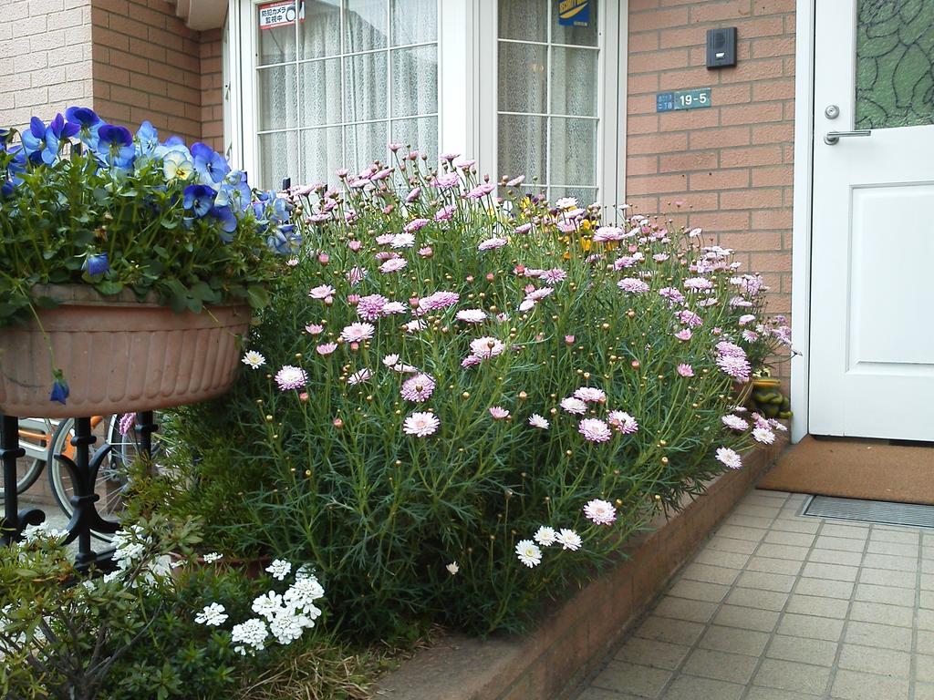 Pension Green Grass Kamakura Exterior photo